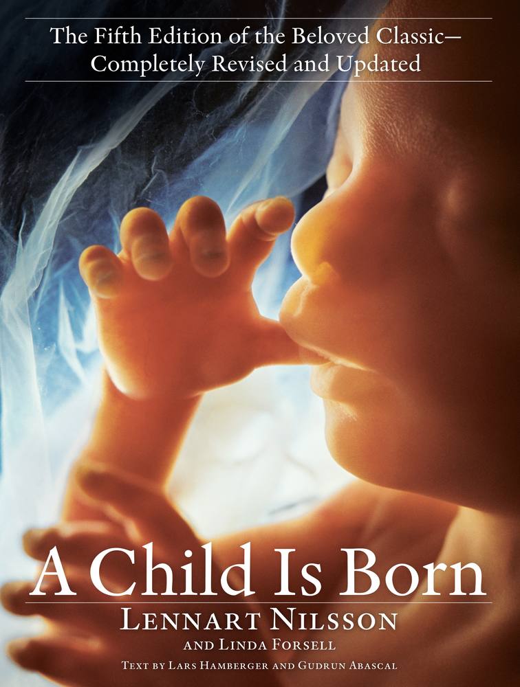 A Child Is Born book cover
