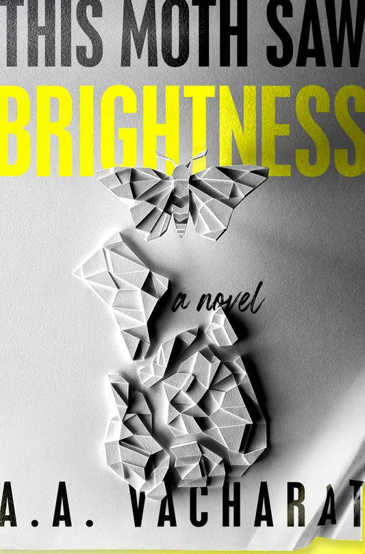 This Moth Saw Brightness book cover