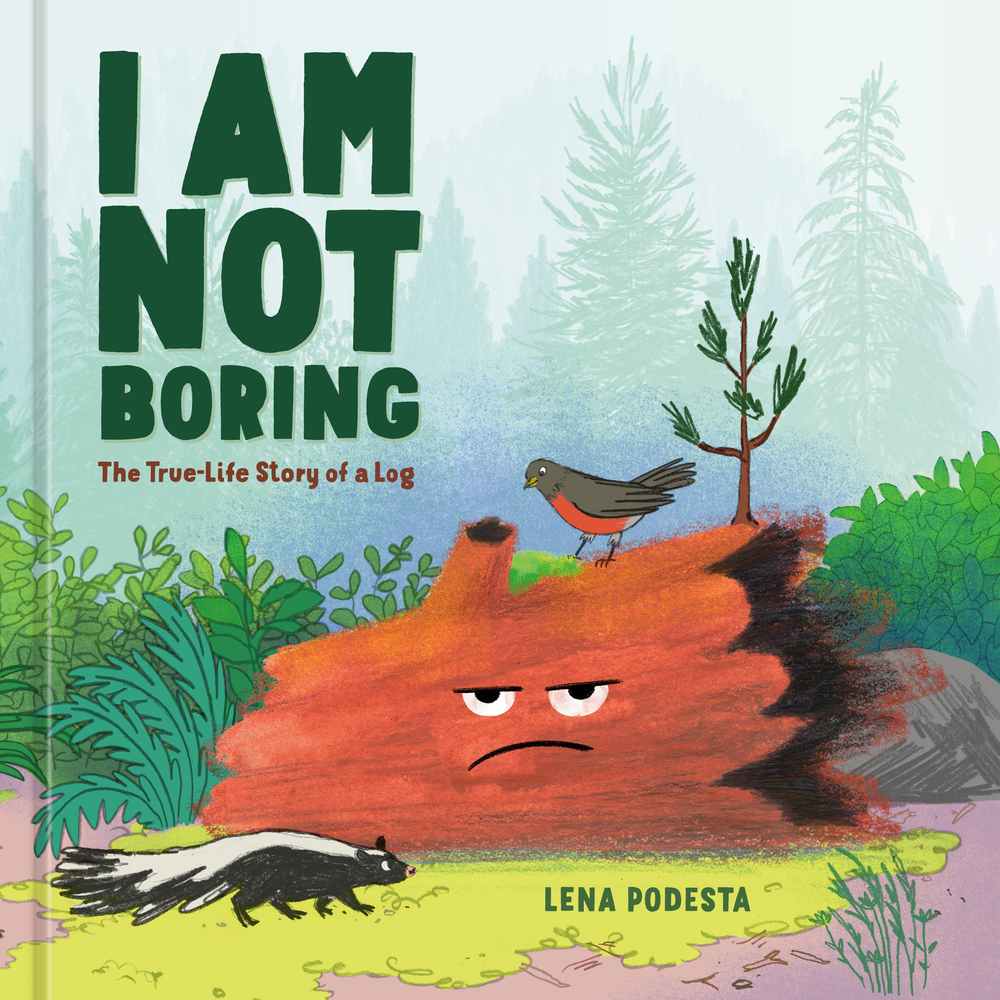 I Am Not Boring book cover