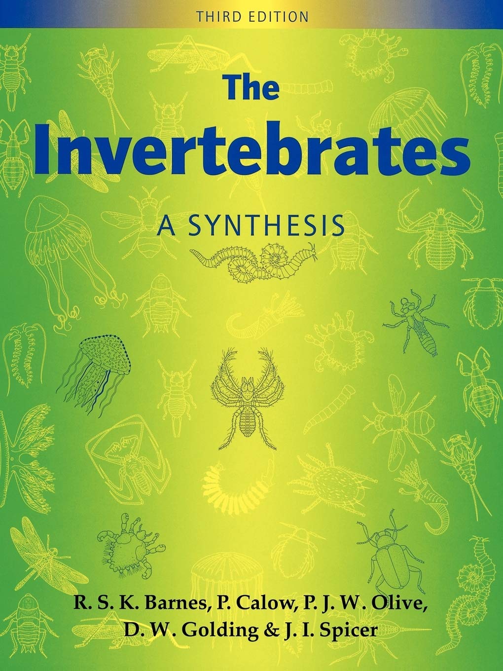 The Invertebrates: A Synthesis cover
