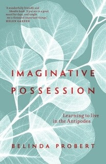 Imaginative Possession book cover