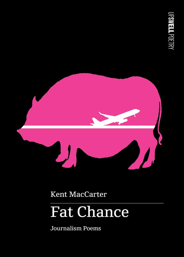 Fat Chance book cover