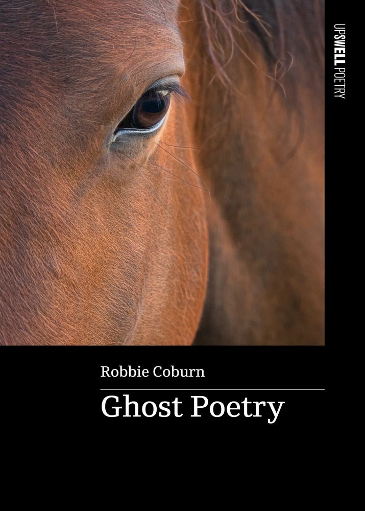 Ghost Poetry book cover