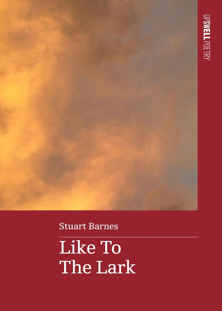 Like To The Lark book cover