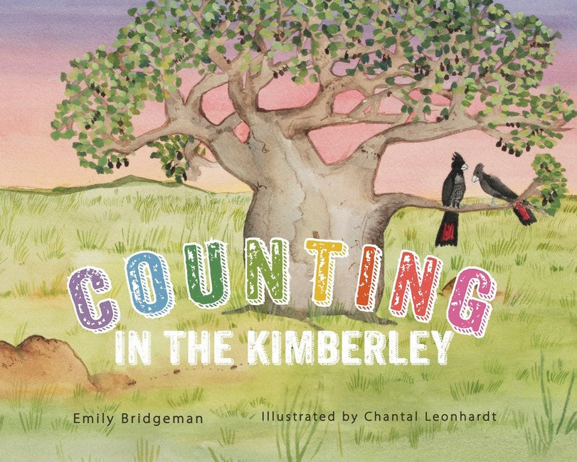 Counting in the Kimberley cover