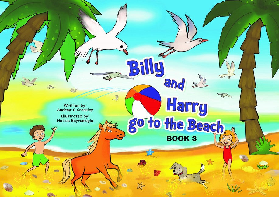 Billy and Harry go to the beach (Book 3) cover