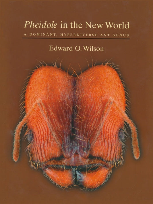"Pheidole" in the New World