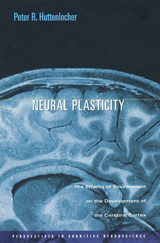 Perspectives in Cognitive Neuroscience cover