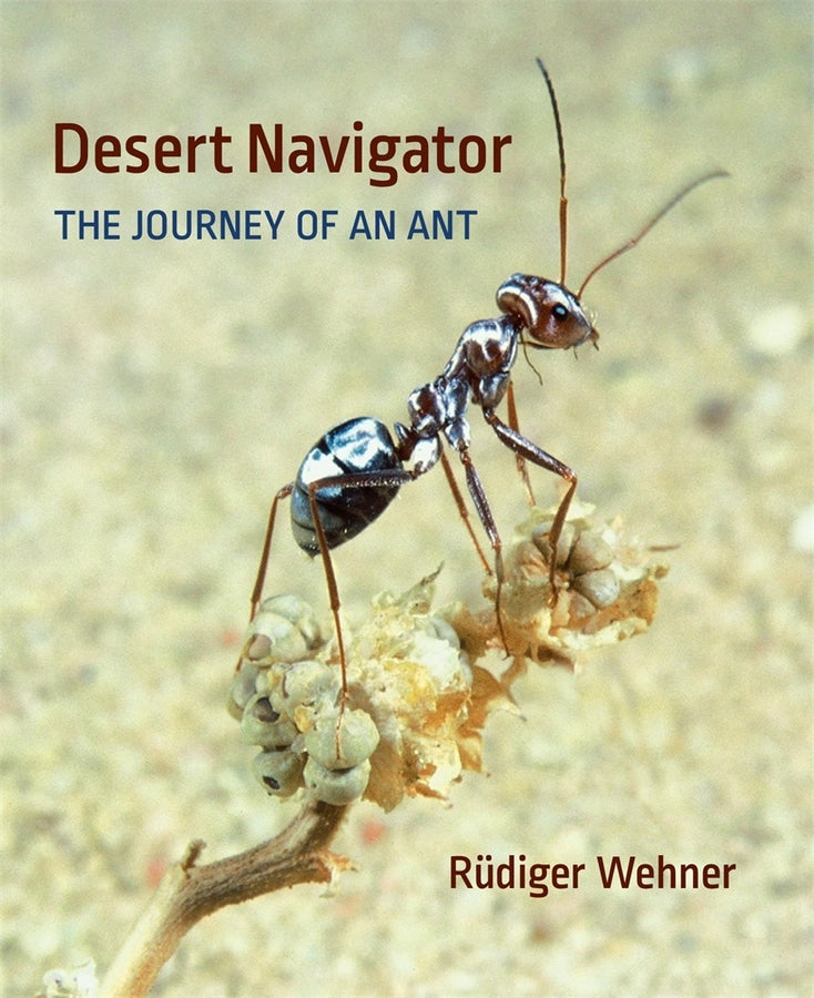 Desert Navigator: The Journey of an Ant cover
