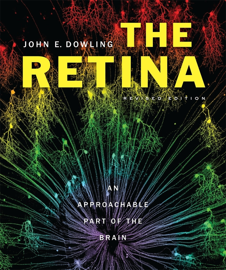 The Retina: An Approachable Part of the Brain, Revised Edition cover