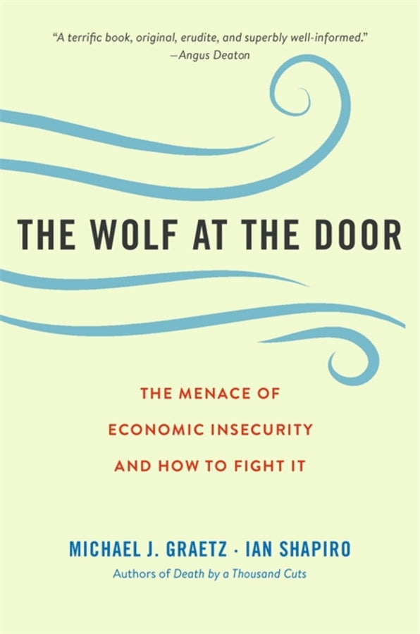 The Wolf at the Door: The Menace of Economic Insecurity and How to Fight It cover