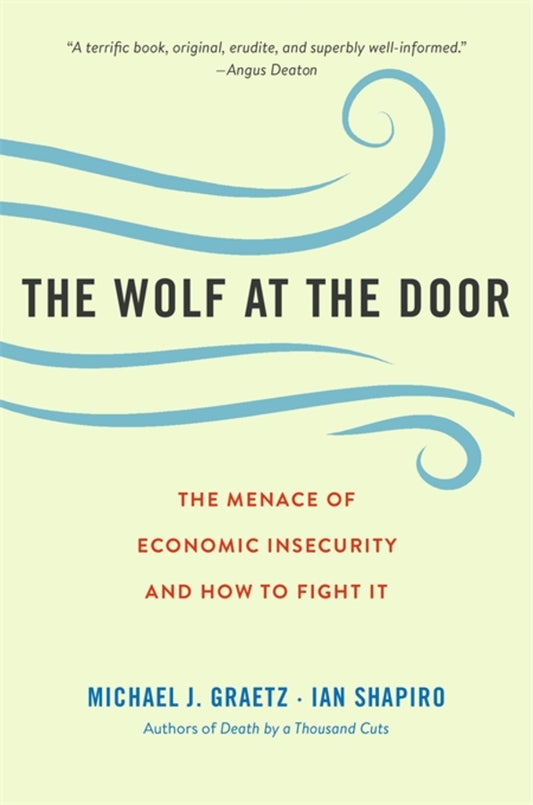The Wolf at the Door: The Menace of Economic Insecurity and How to Fight It cover