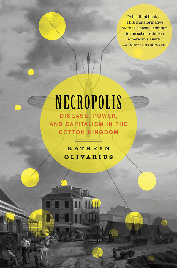 Necropolis: Disease, Power, and Capitalism in the Cotton Kingdom cover