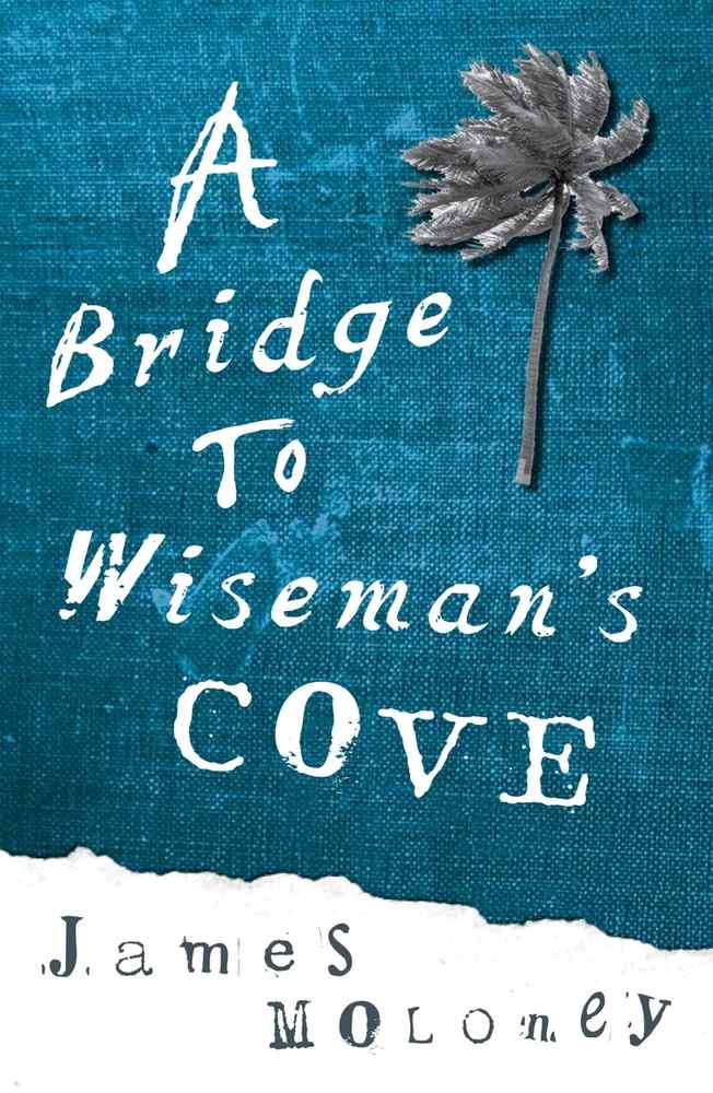 A Bridge to Wiseman's Cove book cover