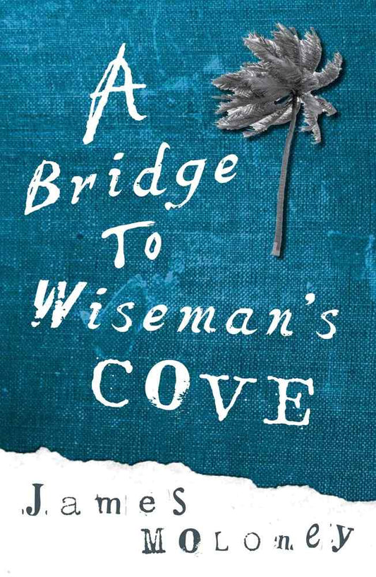 A Bridge to Wiseman's Cove book cover