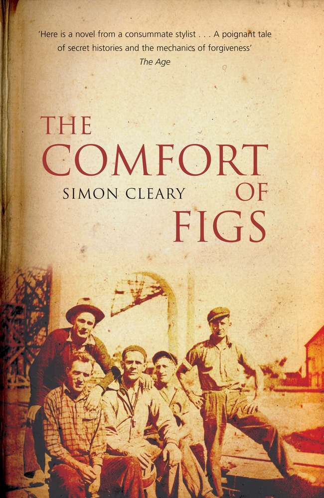 The Comfort of Figs book cover