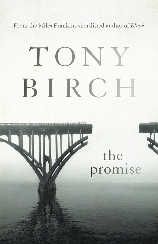 The Promise book cover