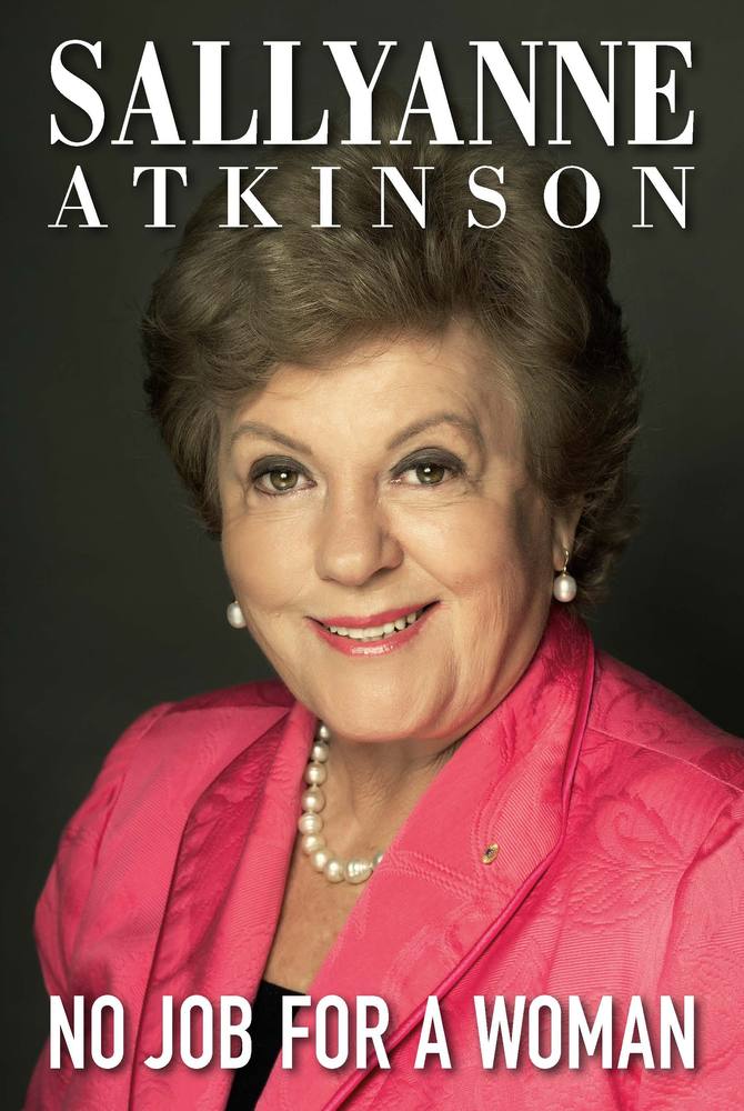 No Job for a Woman book cover