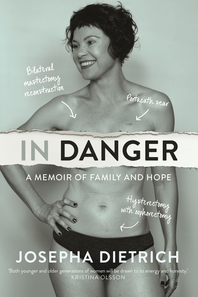 In Danger: A Memoir of Family and Hope book cover
