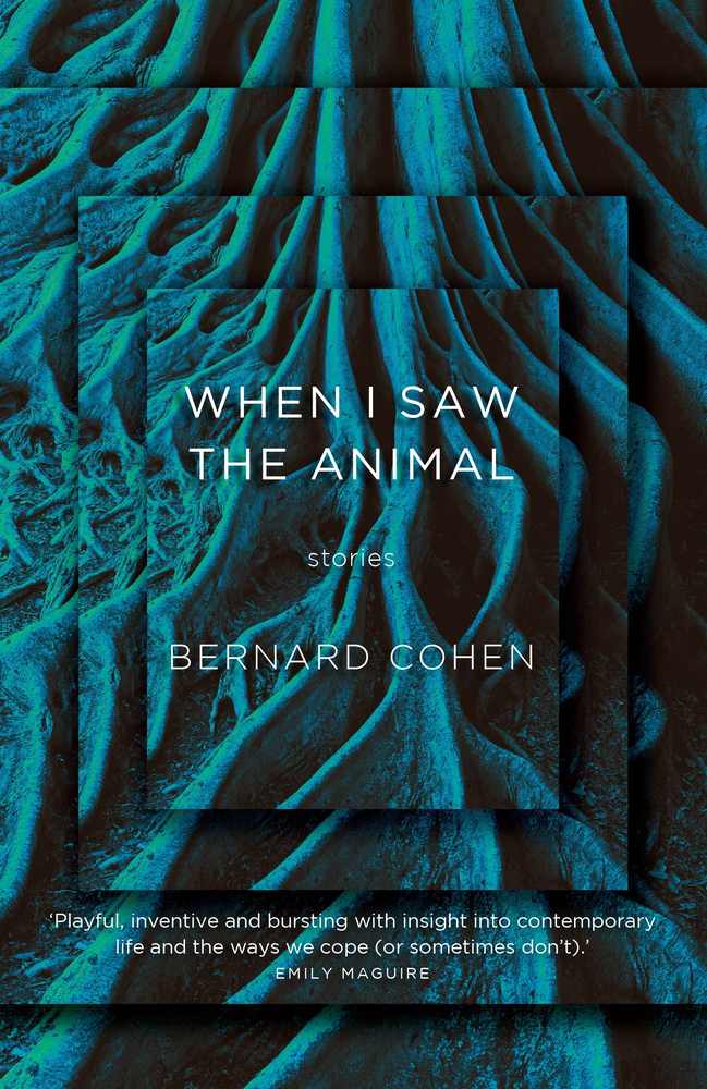 When I Saw the Animal book cover