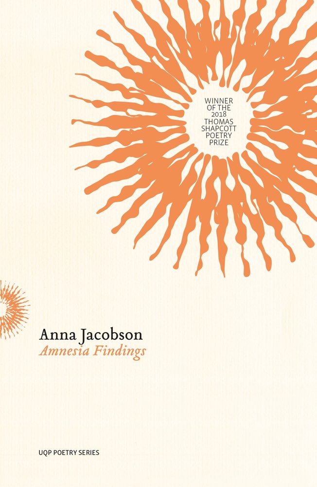 Amnesia Findings book cover
