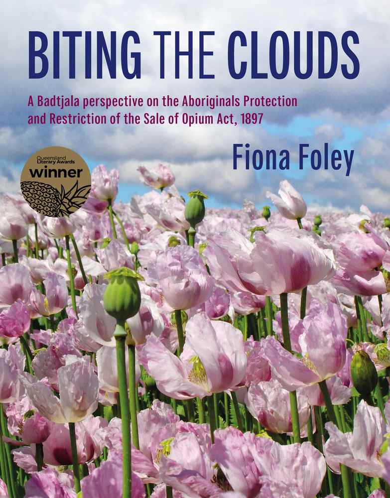 Biting the Clouds book cover