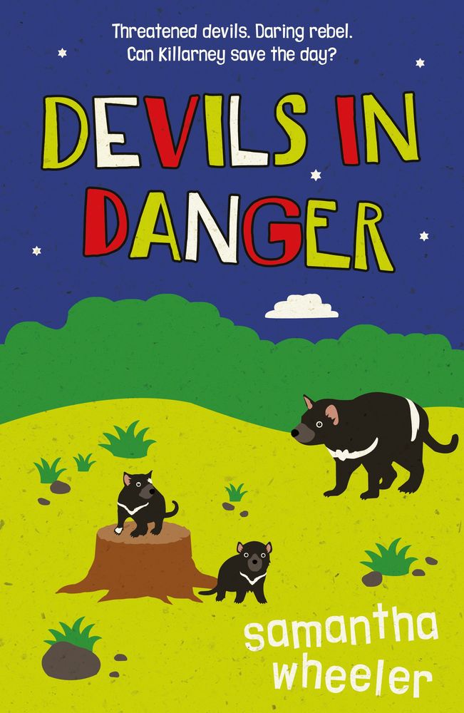 Devils In Danger book cover