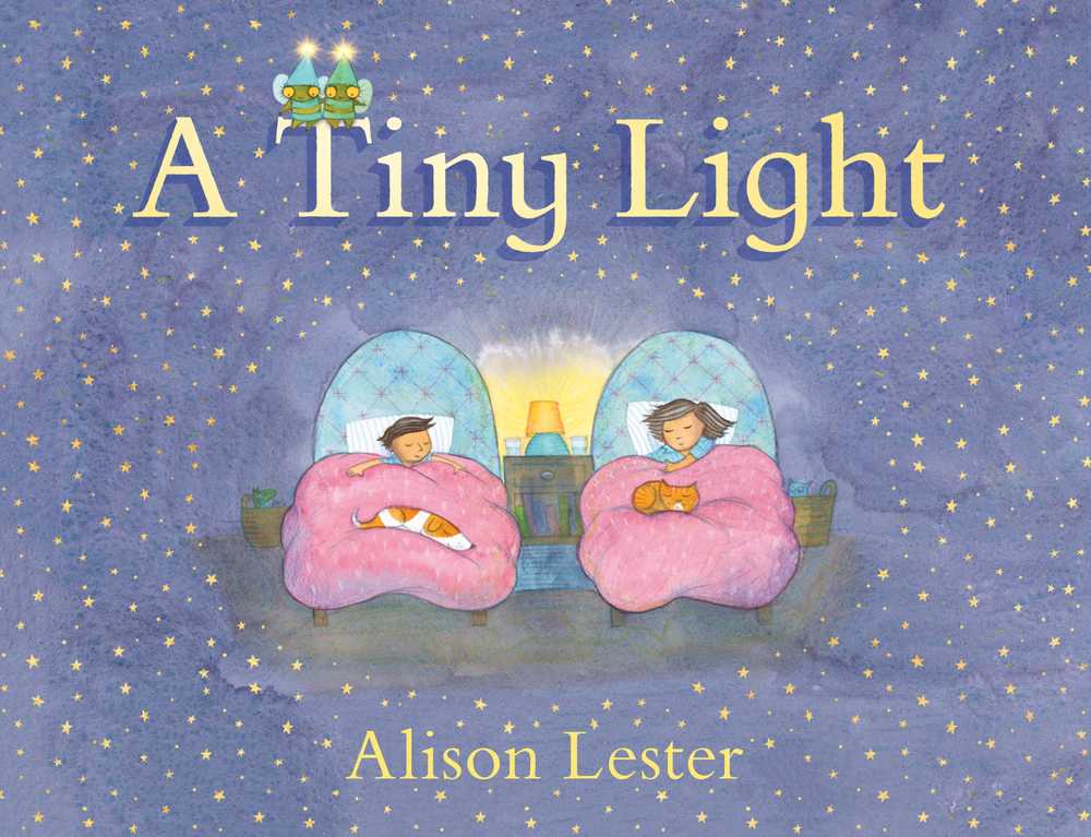 A Tiny Light book cover