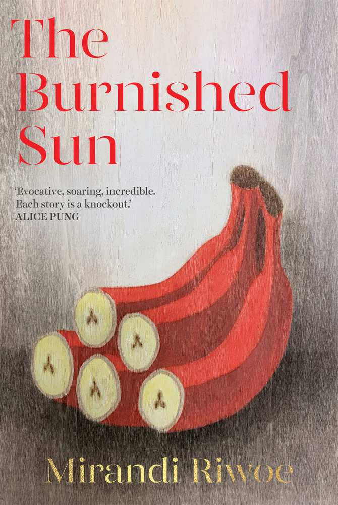 The Burnished Sun book cover