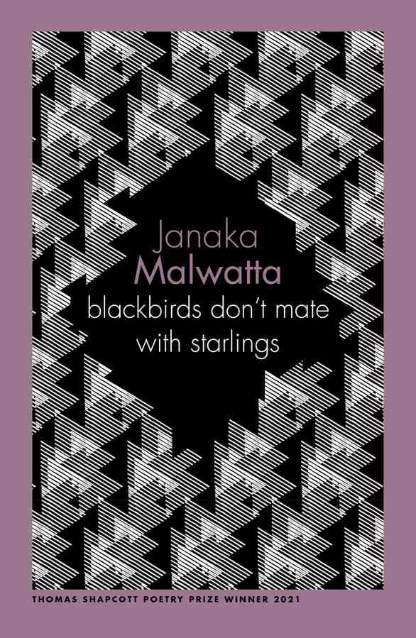 blackbirds don't mate with starlings book cover
