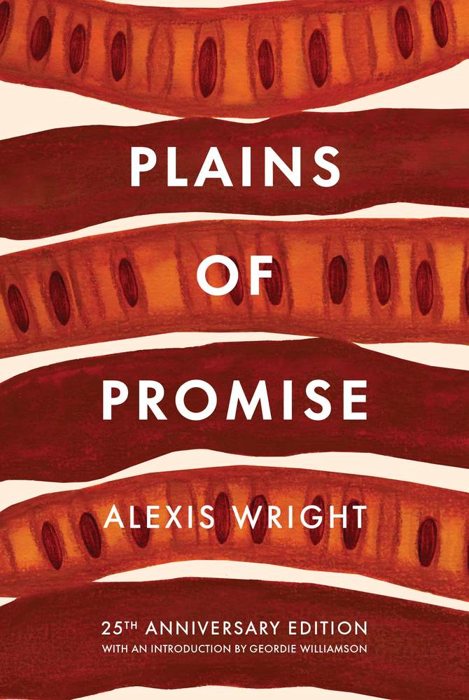Plains of Promise book cover