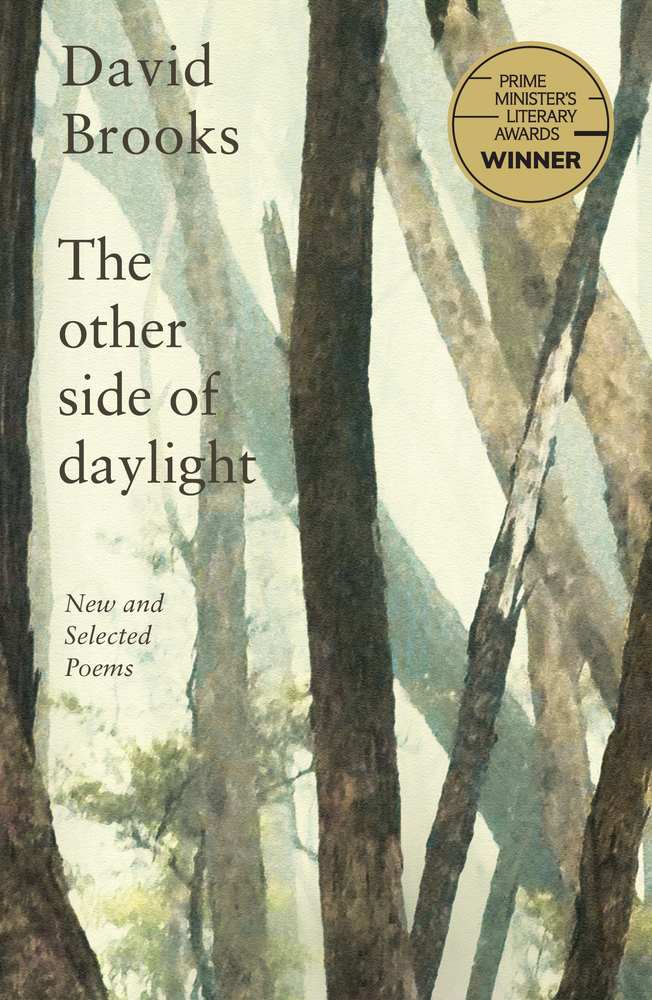 The Other Side of Daylight book cover