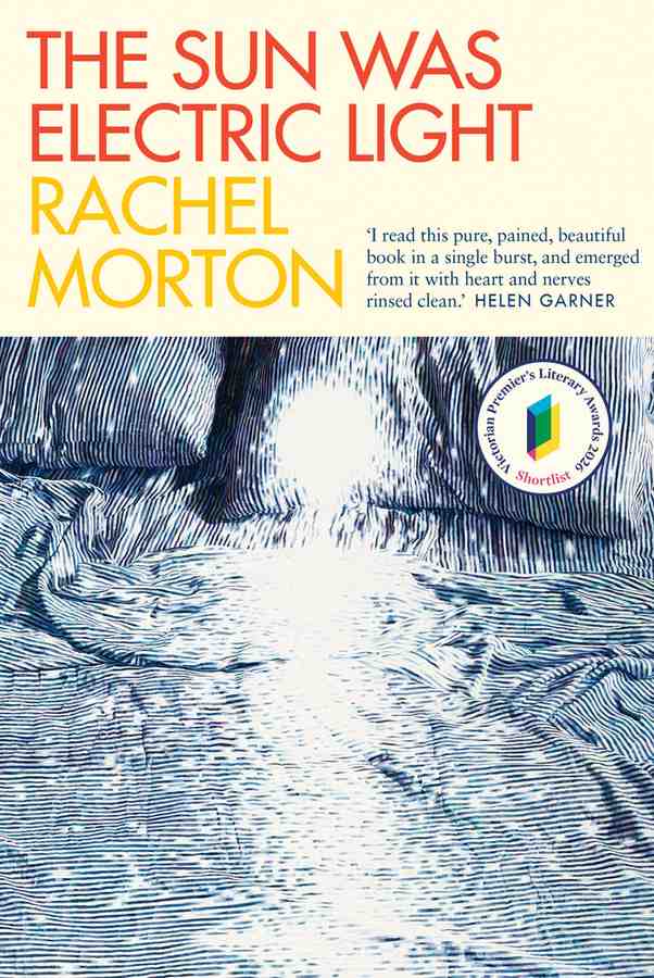 The Sun Was Electric Light book cover