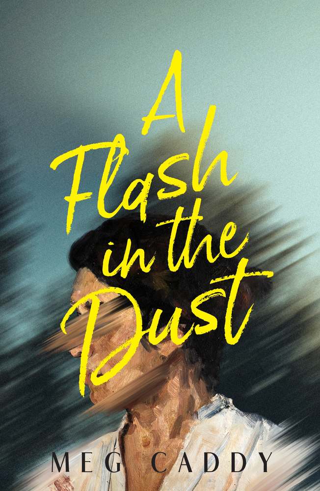 A Flash in the Dust book cover