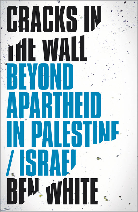 Cracks in the Wall: Beyond Apartheid in Palestine/Israel cover