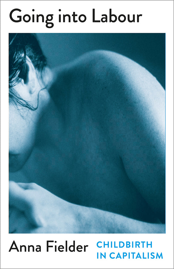 Mapping Social Reproduction Theory cover
