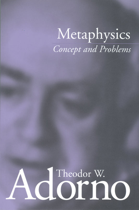 Metaphysics: Concept and Problems cover