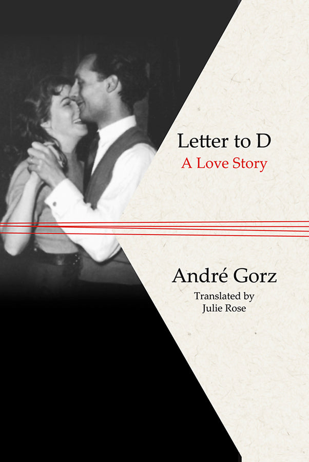 Letter to D: A Love Story cover