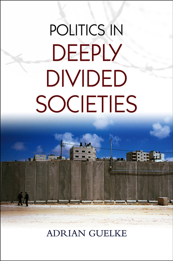 Politics in Deeply Divided Societies cover