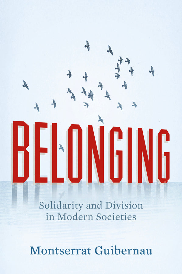 Belonging: Solidarity and Division in Modern Societies cover