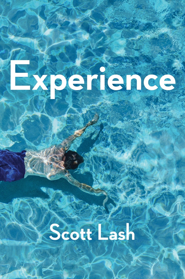 Experience: New Foundations for the Human Sciences cover