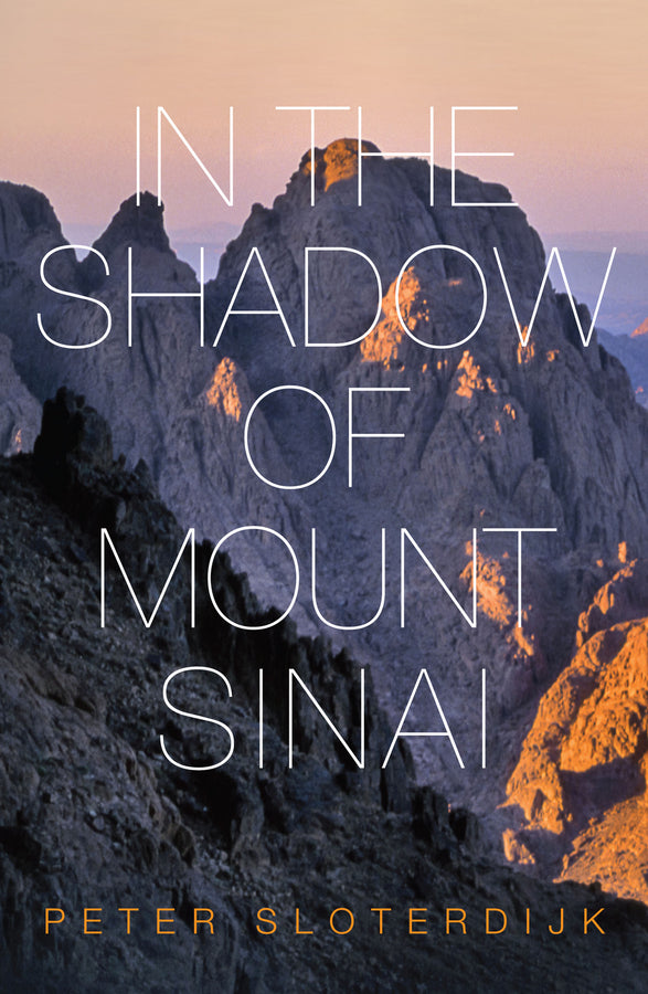 In The Shadow of Mount Sinai cover