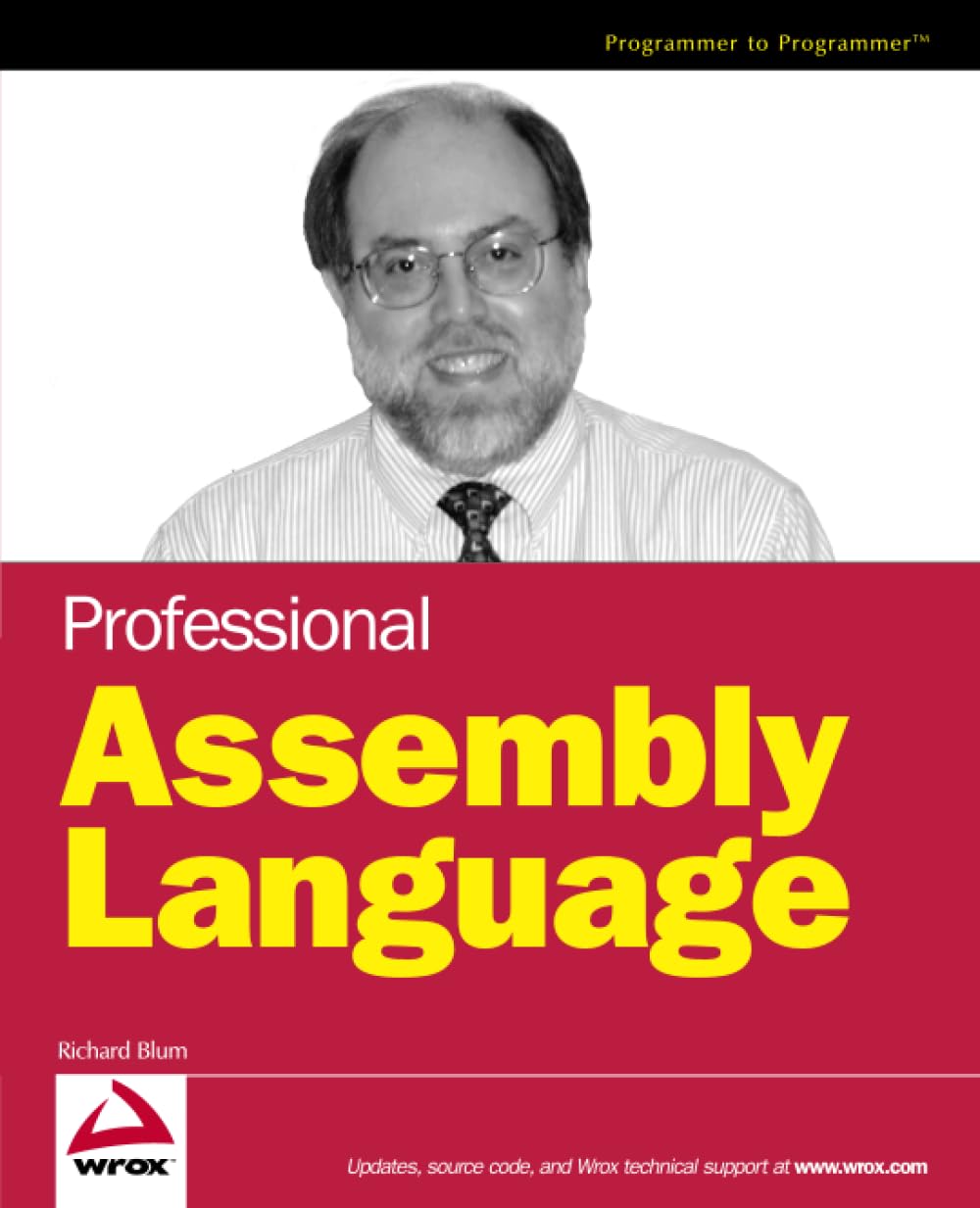 Professional Assembly Language cover