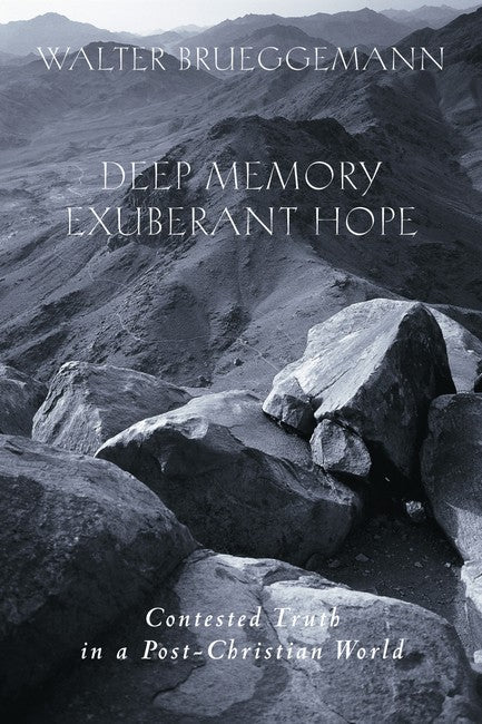 Deep Memory, Exuberant Hope cover
