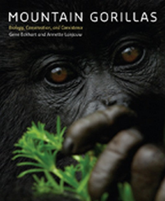 Mountain Gorillas cover