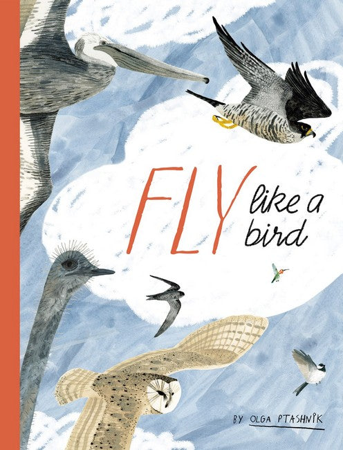 Fly Like a Bird cover