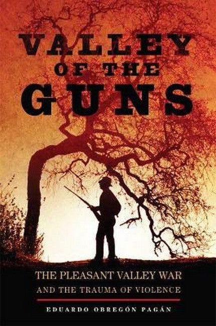 Valley of the Guns cover