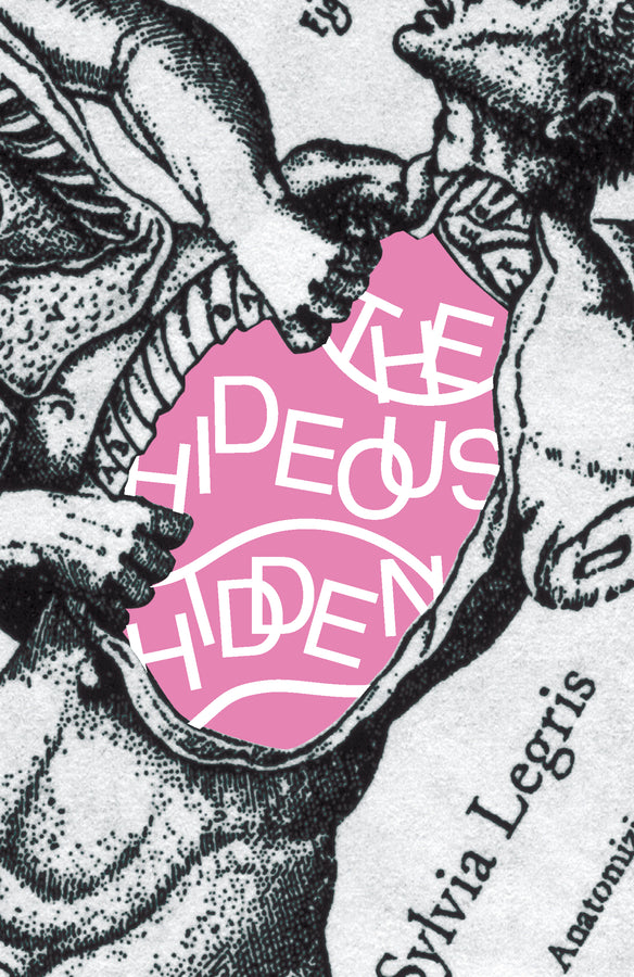 The Hideous Hidden cover