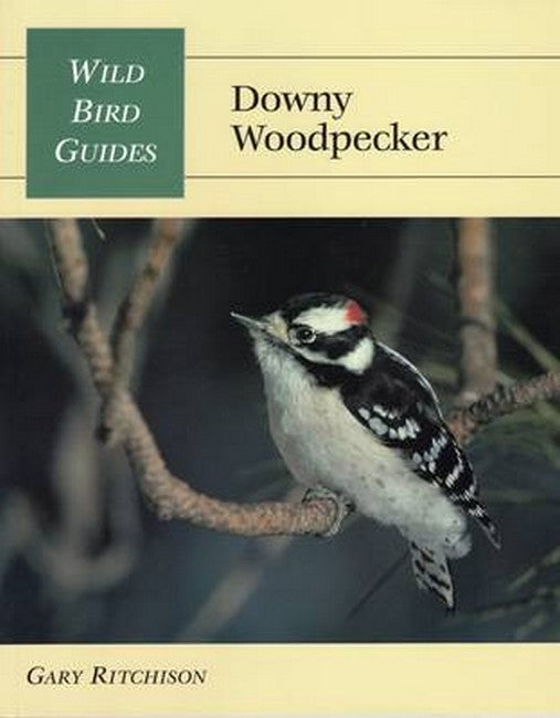 Downy Woodpecker cover
