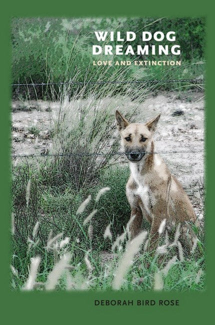 Wild Dog Dreaming cover